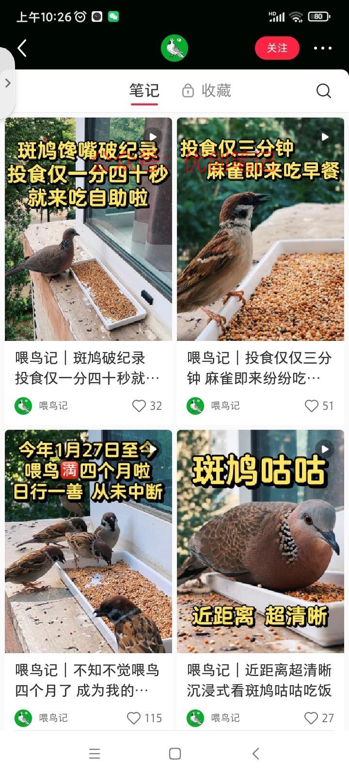 定机拍摄赛道,小鸟吃饭…#情报-搞钱线报📢论坛-网创交流-优创圈